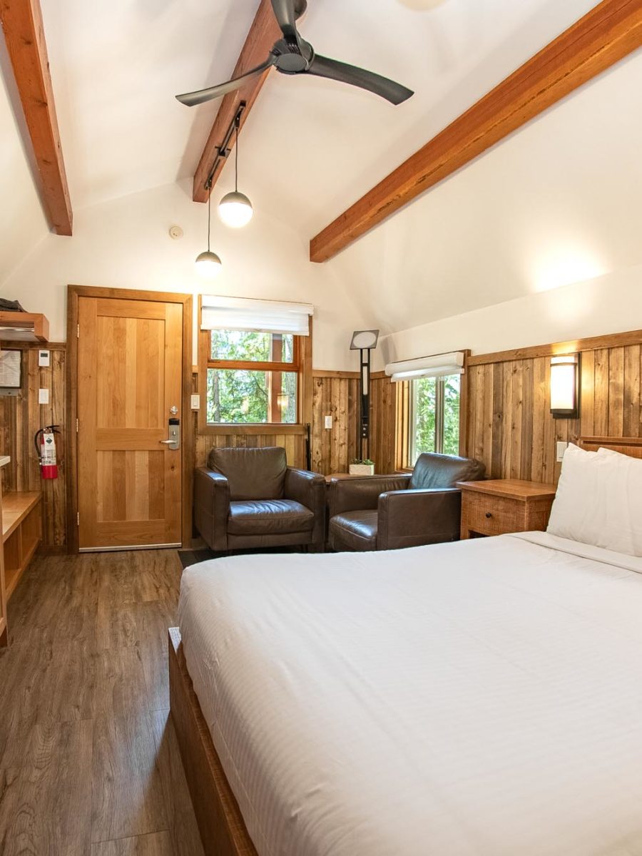 Halcyon Queen Cabin - Interior