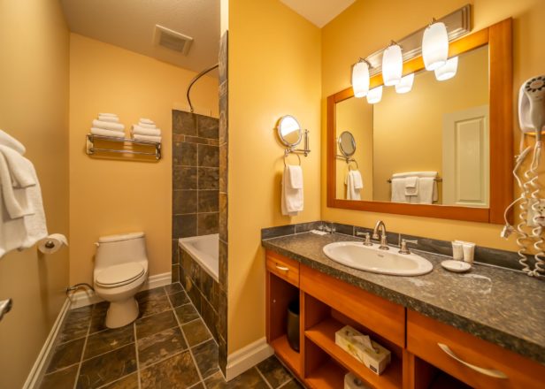 Picture of small studio suite bathroom