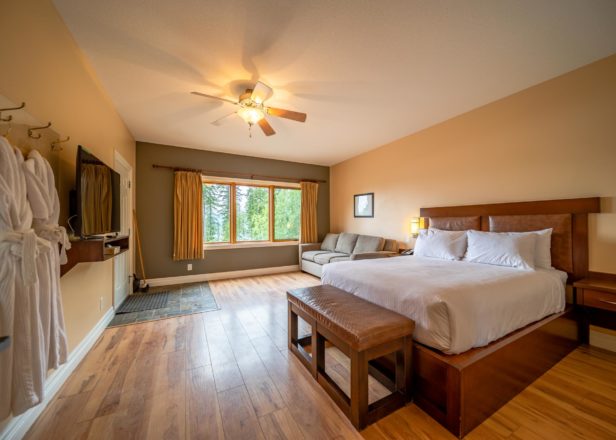 Picture of small studio suite interior