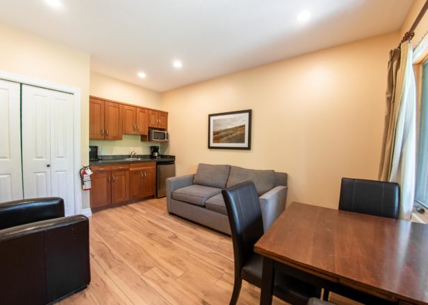 Picture of large studio suite interior