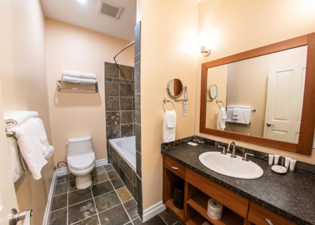 Picture of large studio suite bathroom