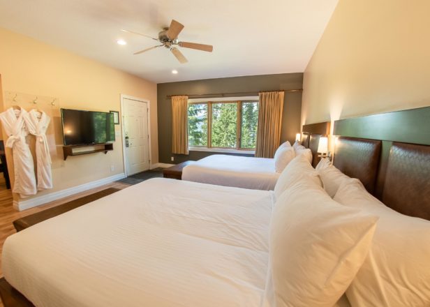 Picture of large studio suite interior