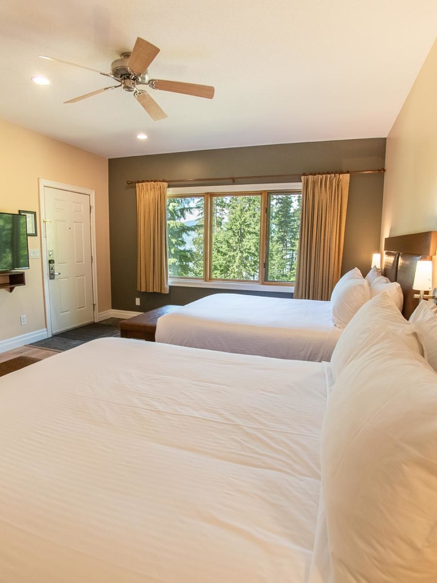 Picture of large studio suite interior