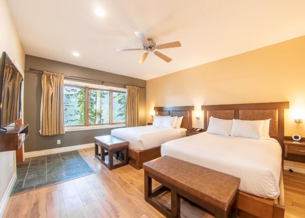 Picture of large studio suite interior