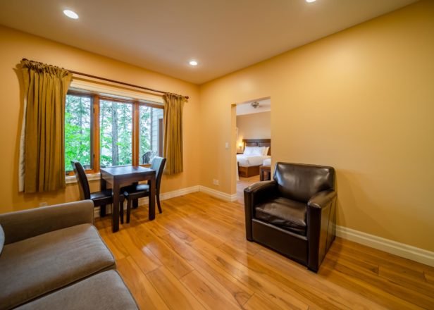 Picture of large studio suite interior