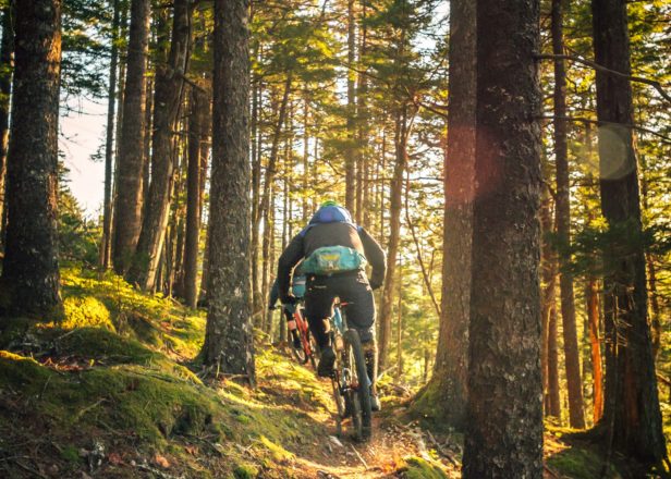Image of mountain biker in forest
