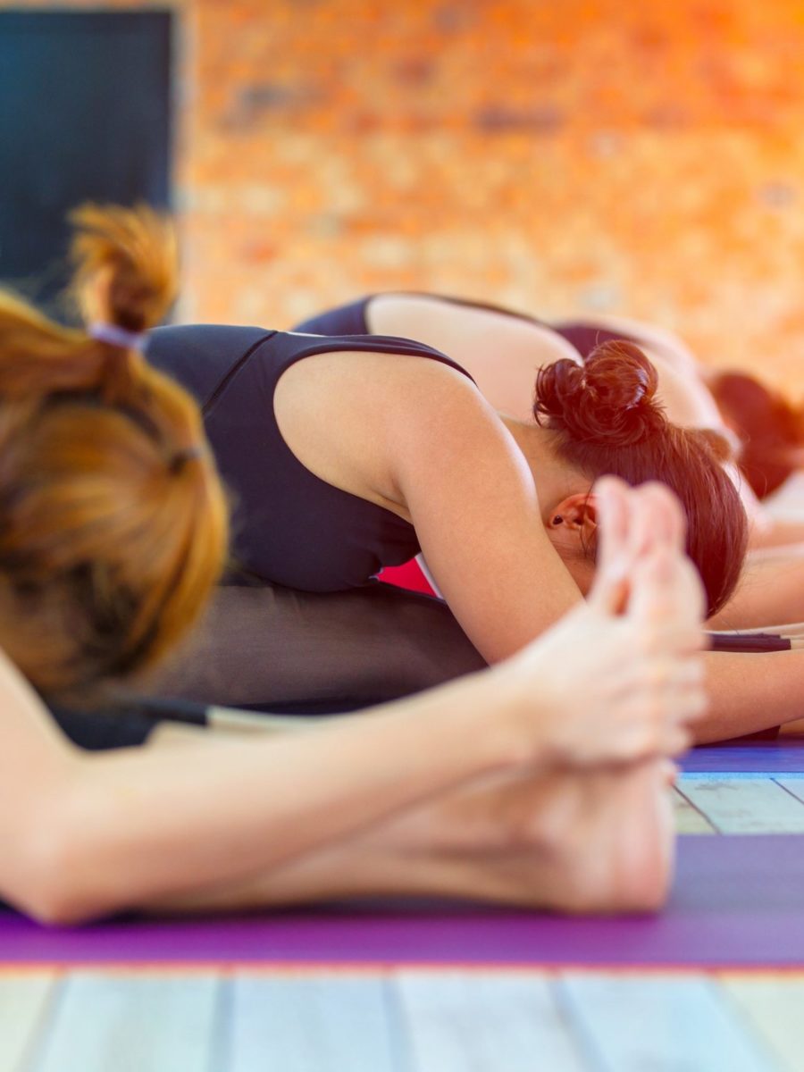 People Performing Yoga Poses